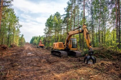 Clearing Land